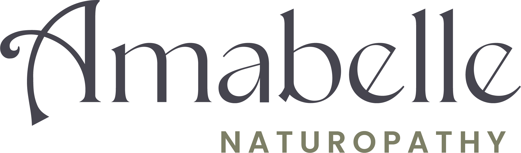 AN Wordmark Full Colour