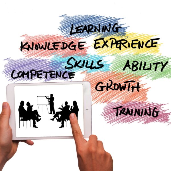 New Graduate Mentoring Program